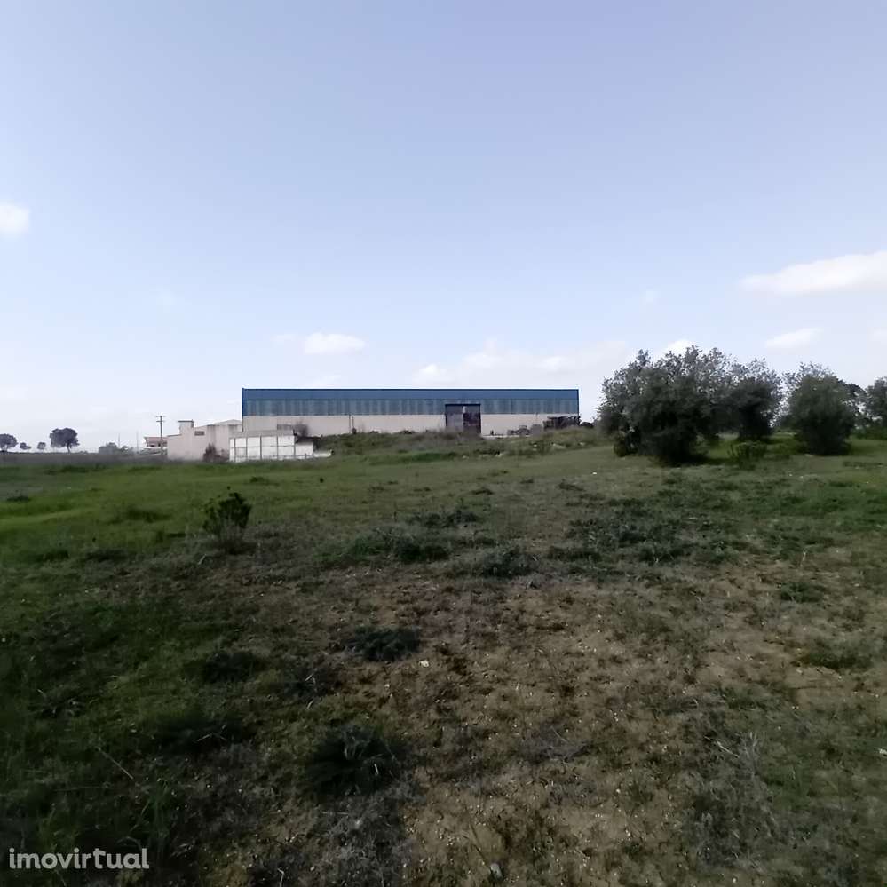 ARMAZÉM INDUSTRIAL | 5.300 m² | MOITAS - PERNES – SANTARÉM - Grande imagem: 3/18
