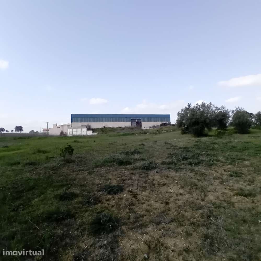 ARMAZÉM INDUSTRIAL | 5.300 m² | MOITAS - PERNES – SANTARÉM - Grande imagem: 3/14