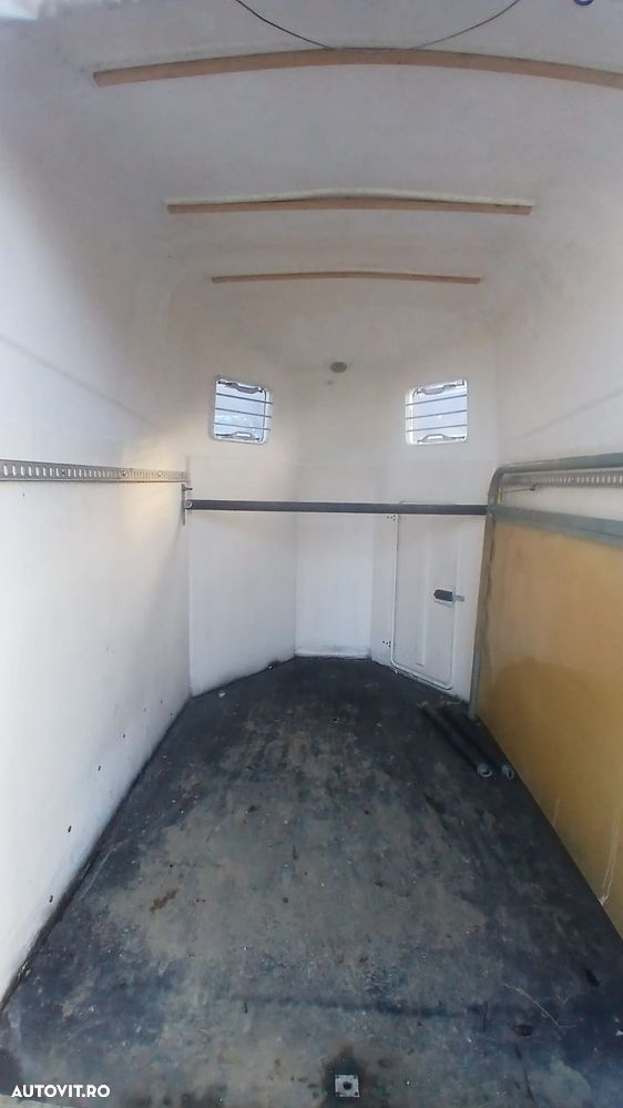 Thiel PFULLENDORF / DOMINO - 3