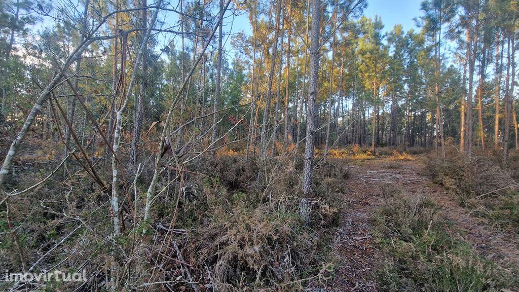 Venda Terreno - Grande imagem: 4/4