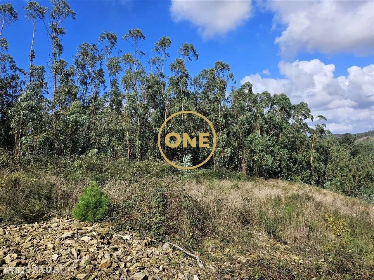 Terreno Florestal com 14.500 m2 em Balazar - Grande imagem: 2/17