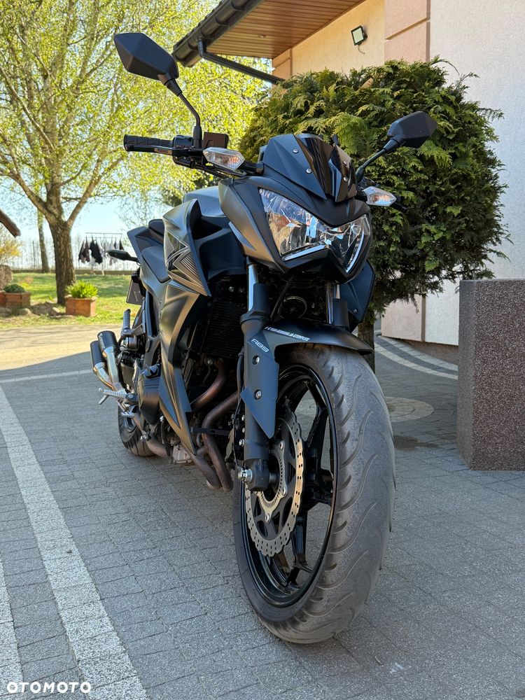 Kawasaki Z - 3