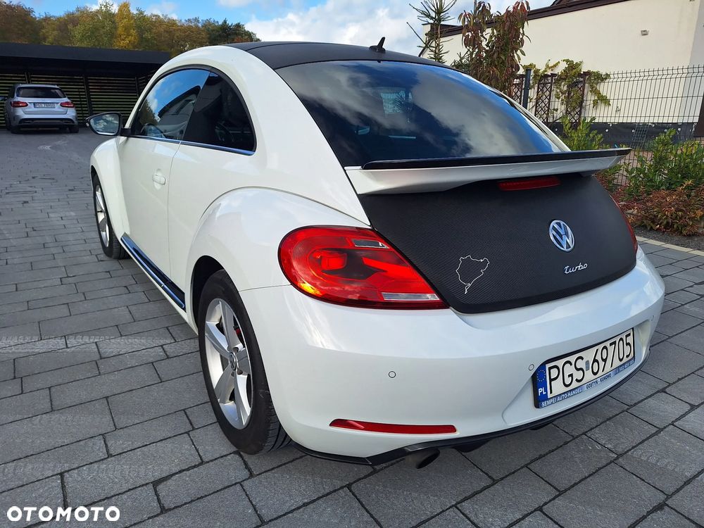 Volkswagen Beetle - 10