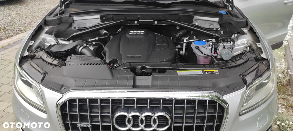 Audi Q5 - 20