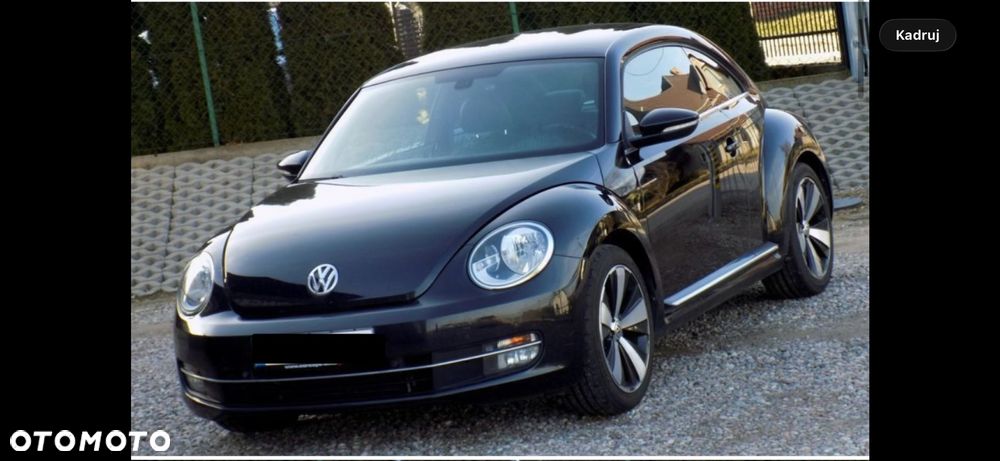 Volkswagen Beetle - 1