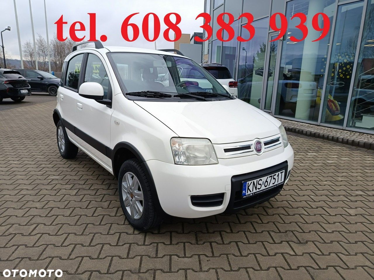 Fiat Panda 1.2 4x4 Climbing - 1