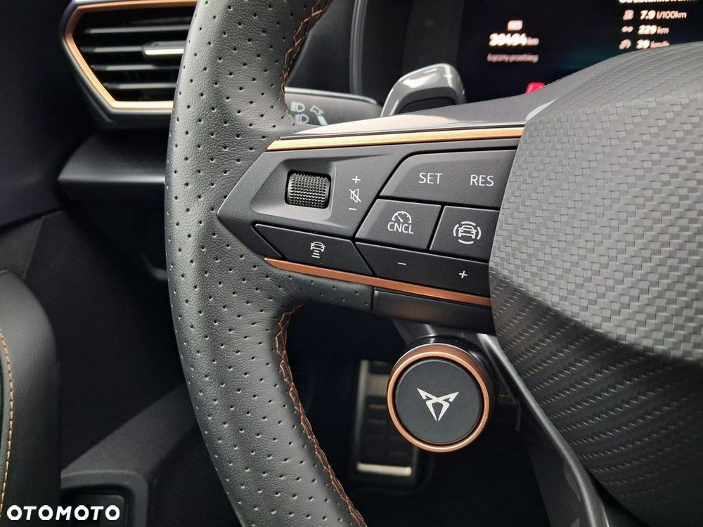 Cupra Formentor - 15