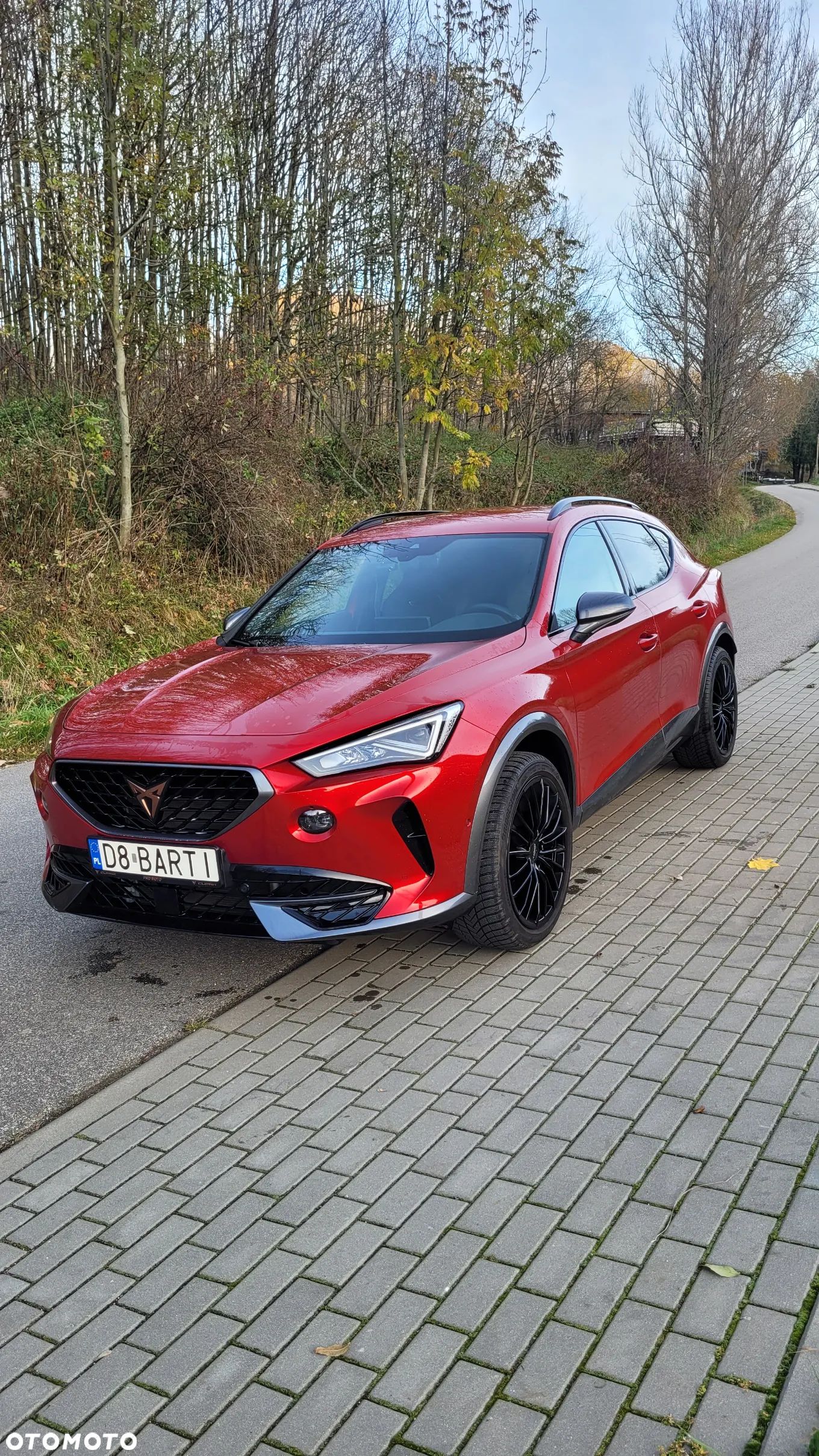 Cupra Formentor 2.0 TSI 4Drive VZ DSG - 1