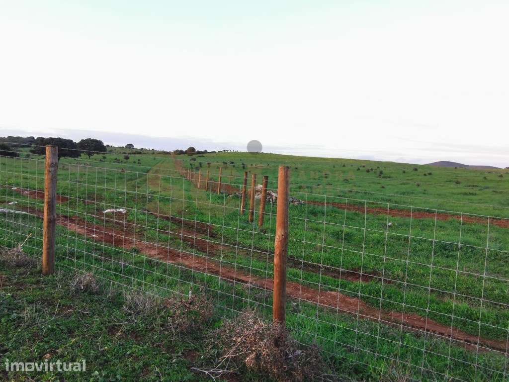 Herdade em Vila Verde de Ficalho, com cerca de duzentos hectares - Grande imagem: 4/60