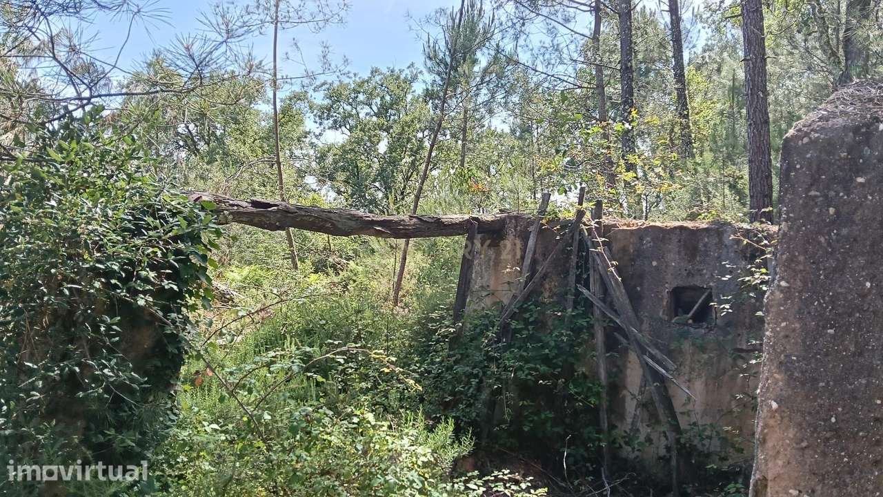 Terreno Agroflorestal em Vila Cã, Pombal - 2575m² com Vista Montanha - Grande imagem: 4/5
