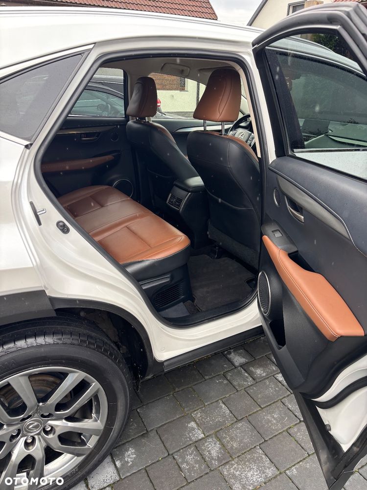 Lexus NX 300h Elite AWD - 16