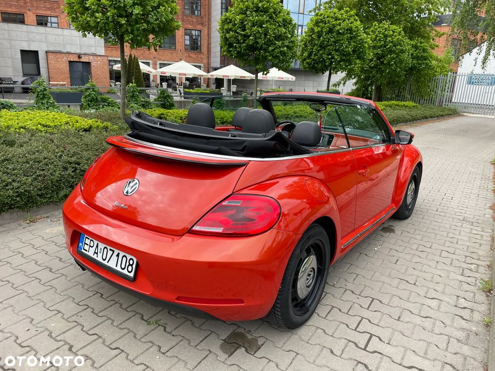 Volkswagen Beetle - 5