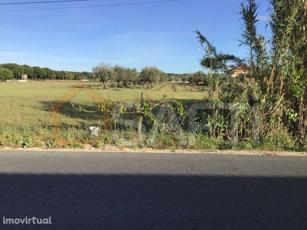 Terreno rústico na Zona Urbana com 6.800m2 em Fojo - Rossio ao Sul ... - Grande imagem: 4/14