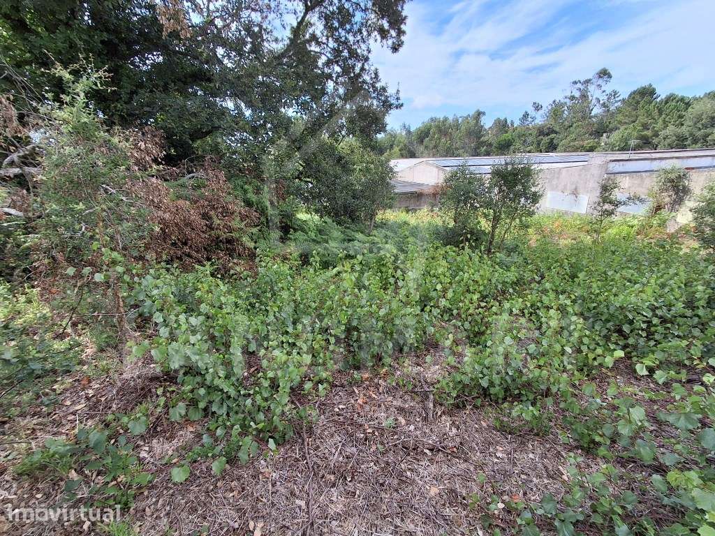 Terreno para Construção - Benedita - Grande imagem: 2/4
