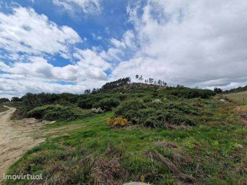 Terreno  rústico - Grande imagem: 3/6