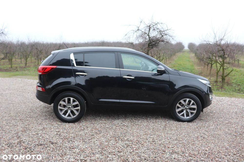 Kia Sportage 1.6 GDI Business Line L 2WD - 23