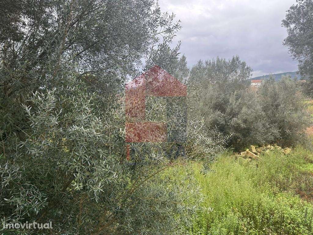 Terreno agrícola, Vilarinho - Grande imagem: 3/10