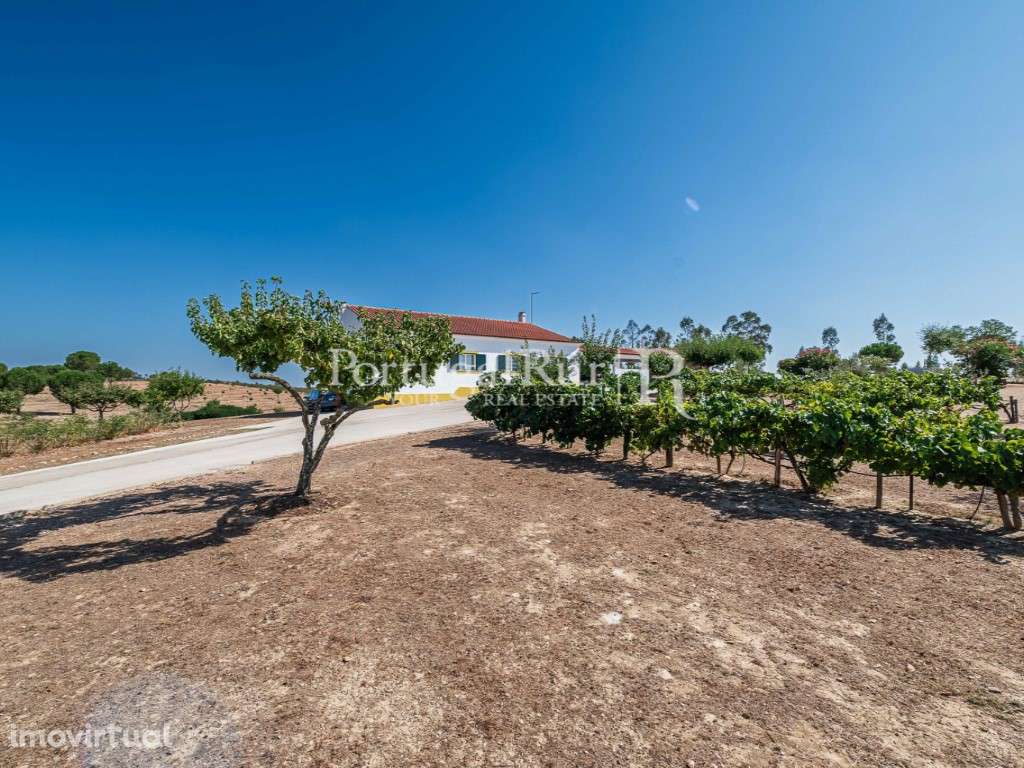 Monte Alentejano T4 com Terreno de 4,4 Hectares - Grande imagem: 4/48
