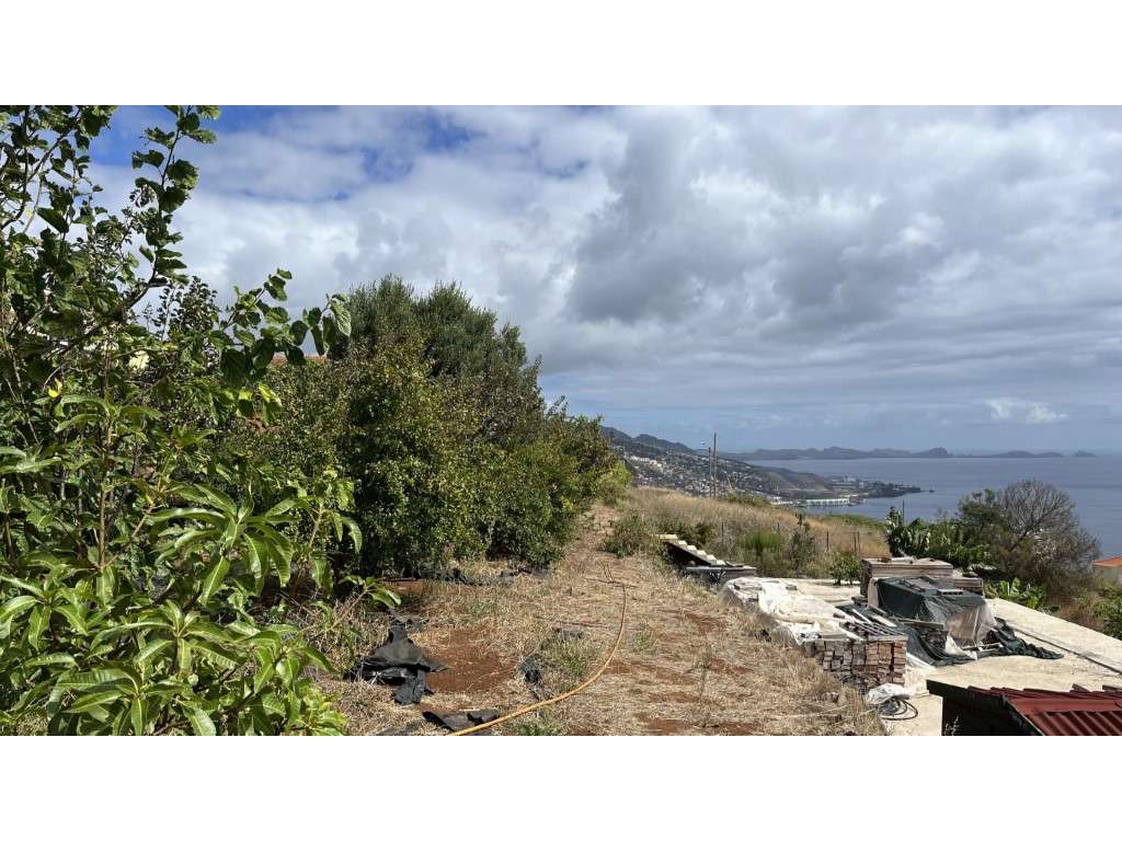 Terreno com o Projeto Aprovado e Jardim Frutífero - 2100 m², com a ... - Grande imagem: 3/11