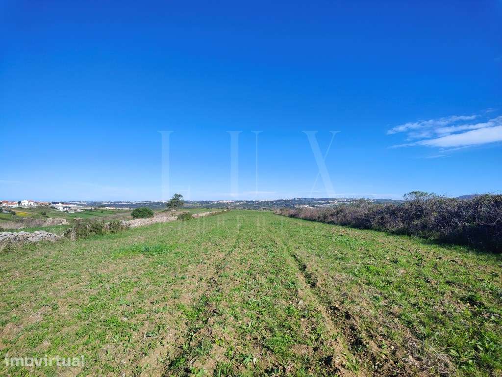 TERRENO COM 5.160m2 e FRENTE DE ESTRADA EM SINTRA - Grande imagem: 5/22