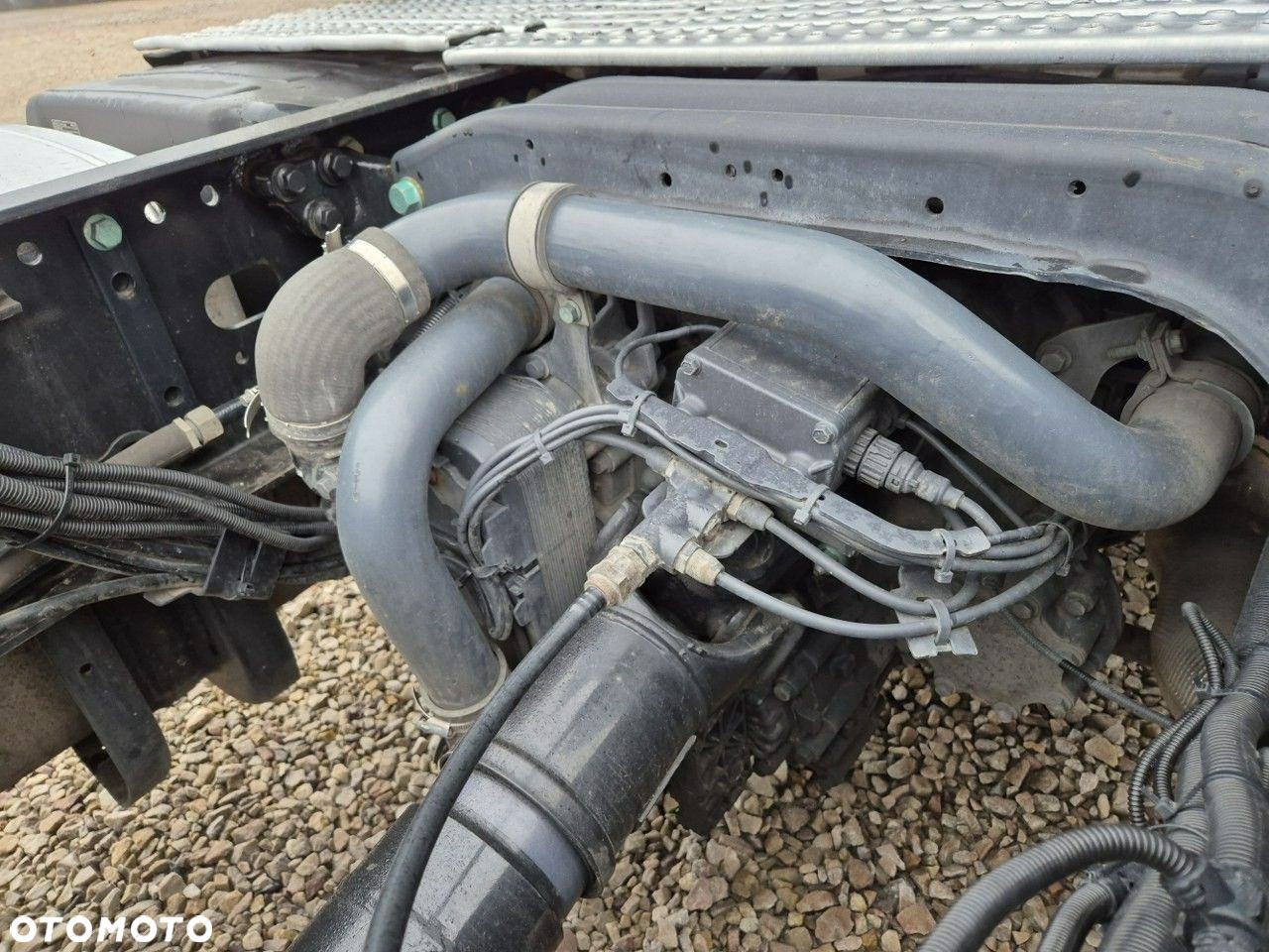 MAN Tgx - 11