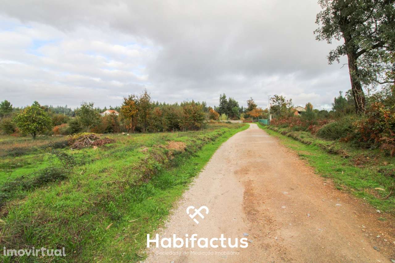 Terreno com a área de 7330m2 - Tondela - Grande imagem: 3/3