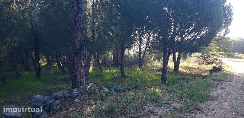 Terreno Rústico com 1.100 m² – Excelente Oportunidade - Grande imagem: 3/3