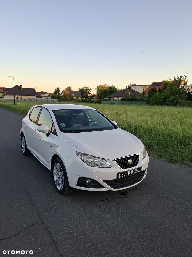 Seat Ibiza - 27