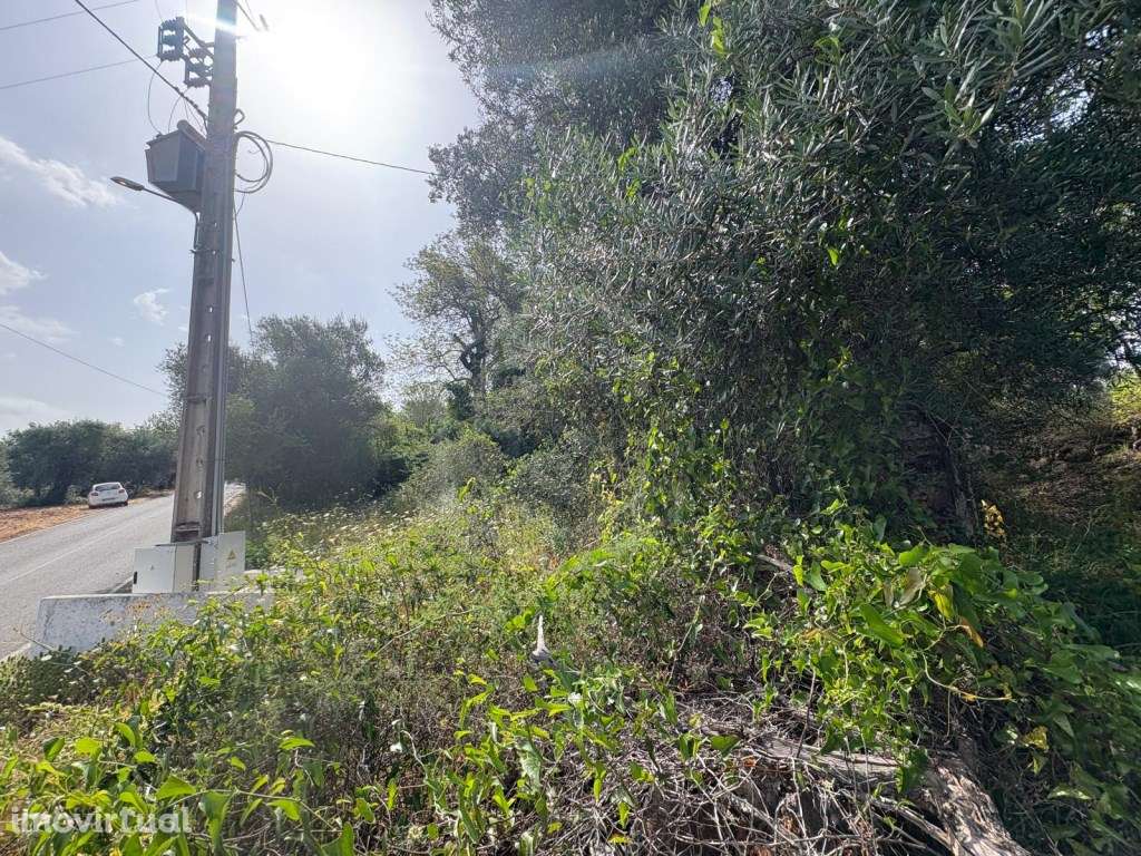 Terreno rustico inserido em malha urbana Tipo C, Salir, Algarve - Grande imagem: 2/10