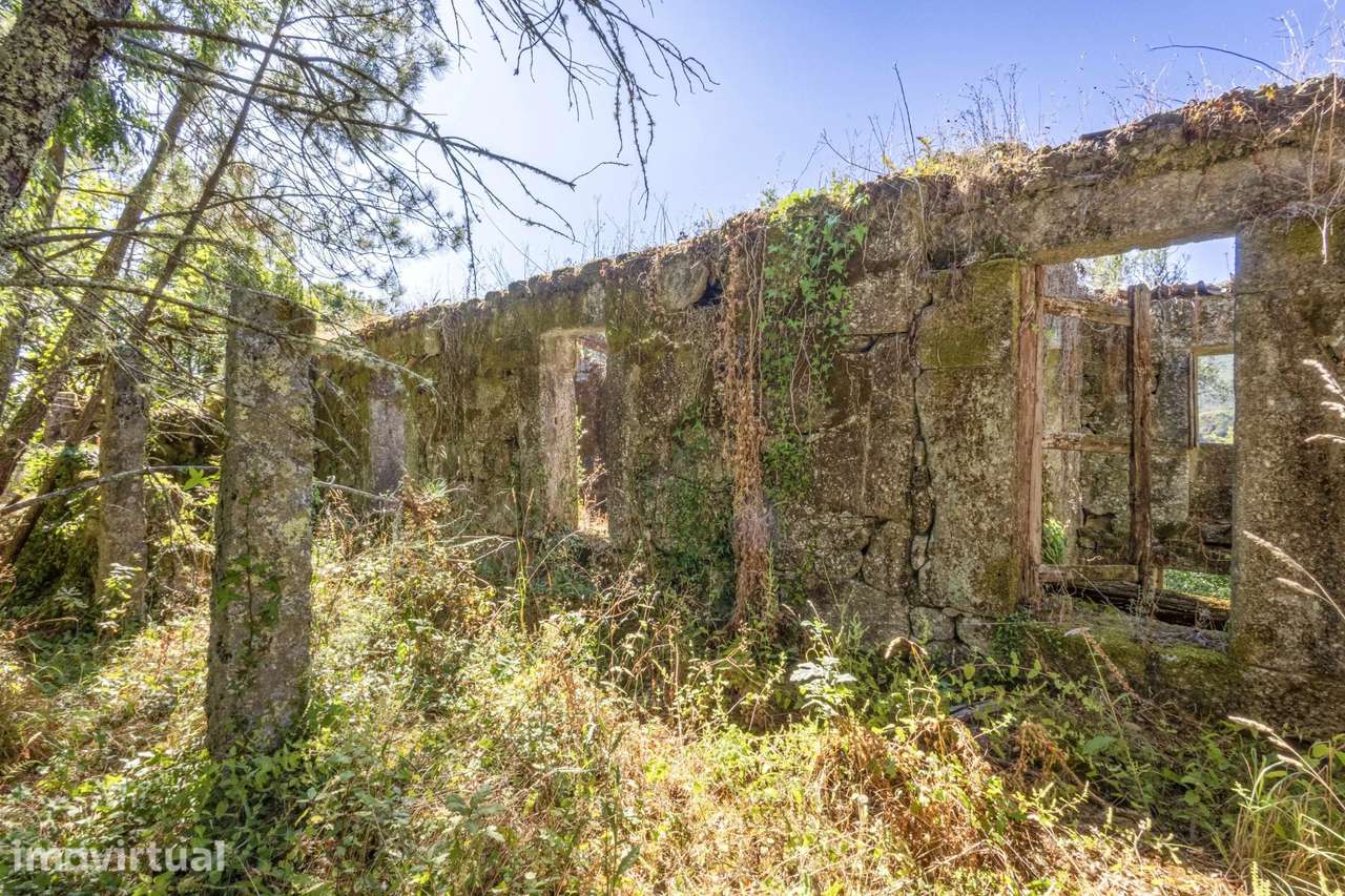 Quinta com 2 Hectares e Casa em Pedra para Recuperar em Gomide, Vila V - Grande imagem: 2/27