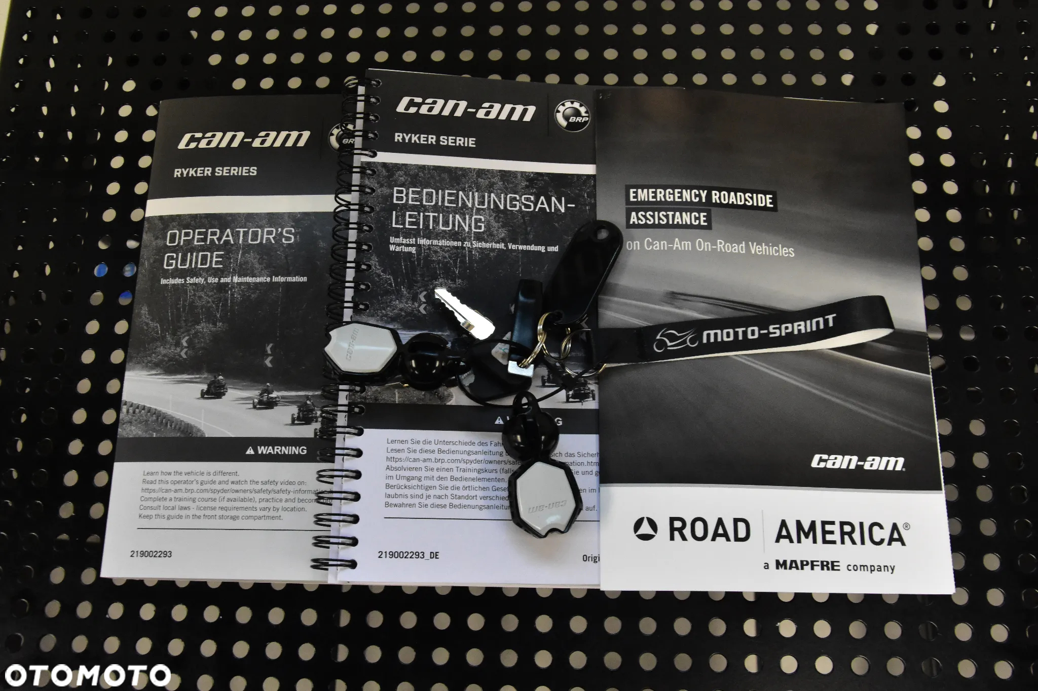 Can-Am Ryker - 20