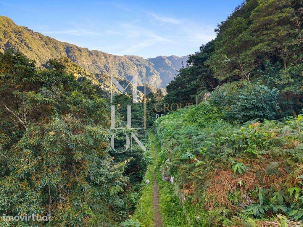 Oportunidade Única na Zona Norte da Ilha – Boaventura - Grande imagem: 4/20