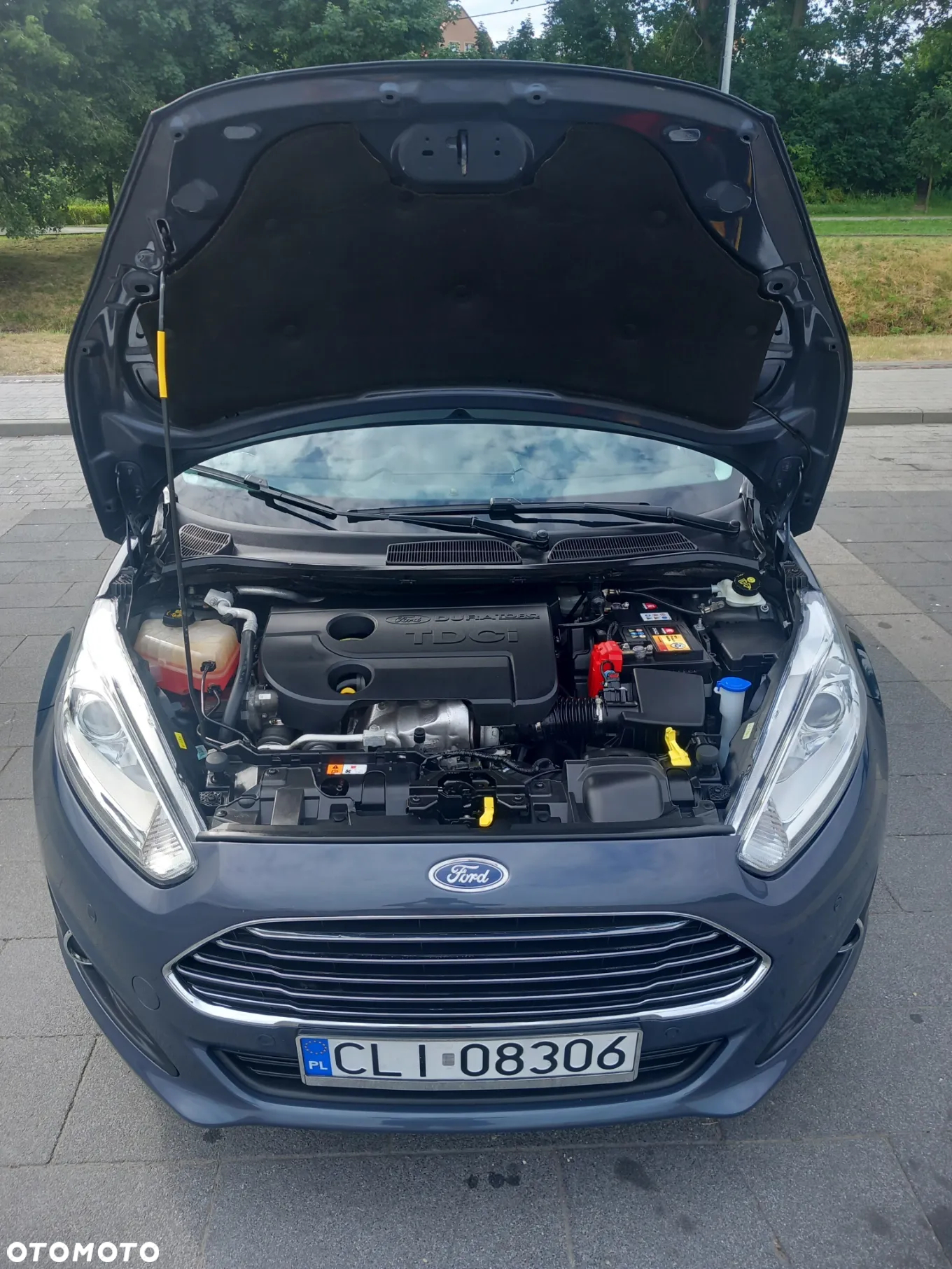 Ford Fiesta 1.6 TDCI Champions Edition - 9