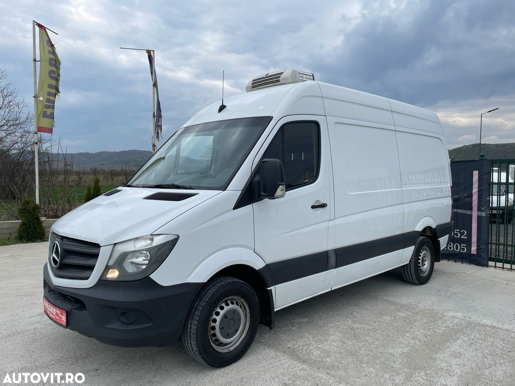 Mercedes-Benz Sprinter FRIGORIFIC THERMO KING - 8