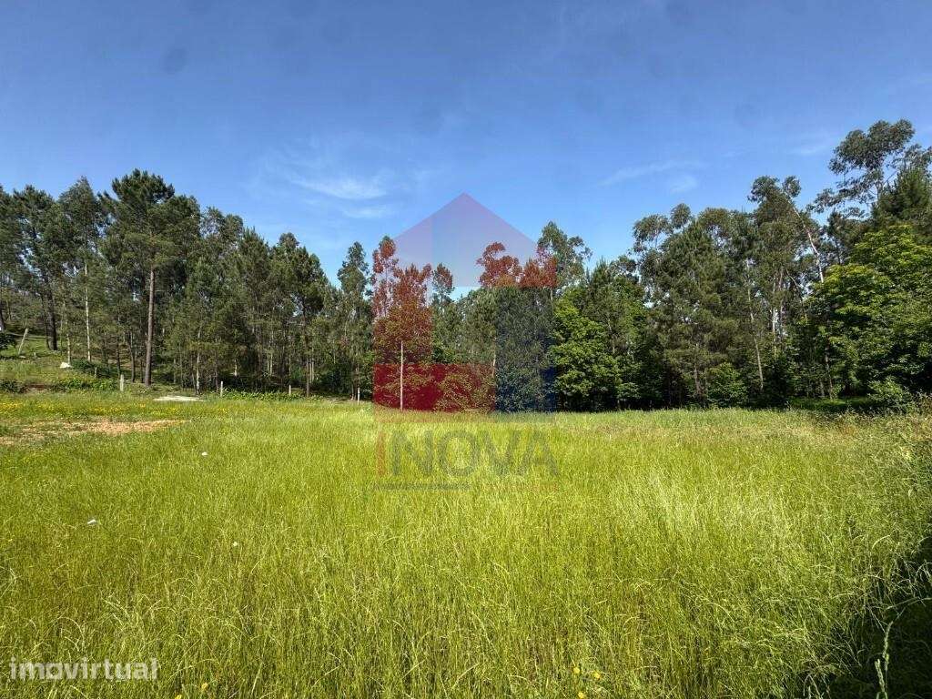 Terreno com Projeto Aprovado, Cervães - Grande imagem: 5/18