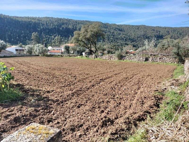 Vende-se terreno - Grande imagem: 5/9