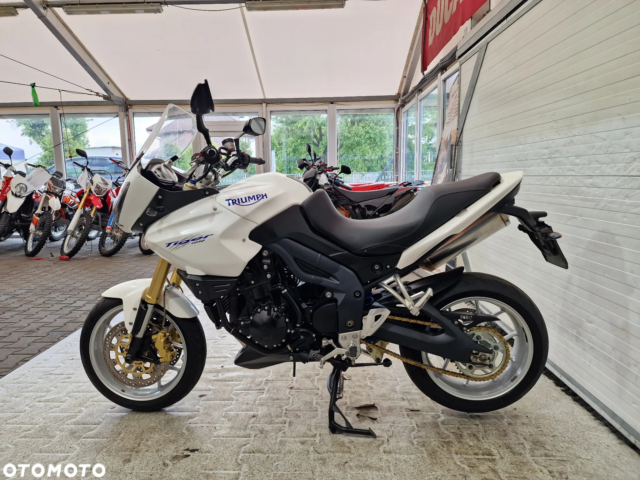 Triumph Tiger - 19