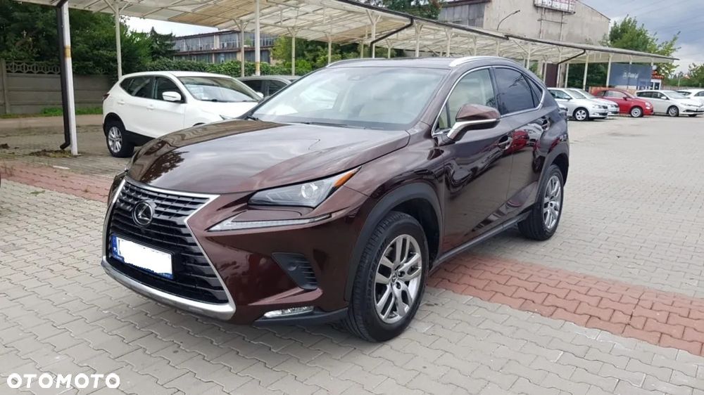 Lexus NX 300 Elegance Optimum AWD - 2