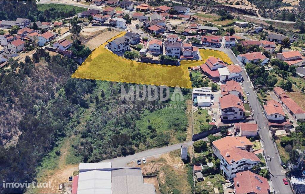 Terreno Rústico com Viabilidade de Construção – São Roque, Oliveira de - Grande imagem: 4/4