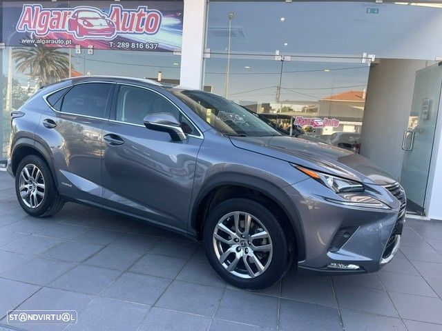 Lexus NX 300h Executive+ - 2