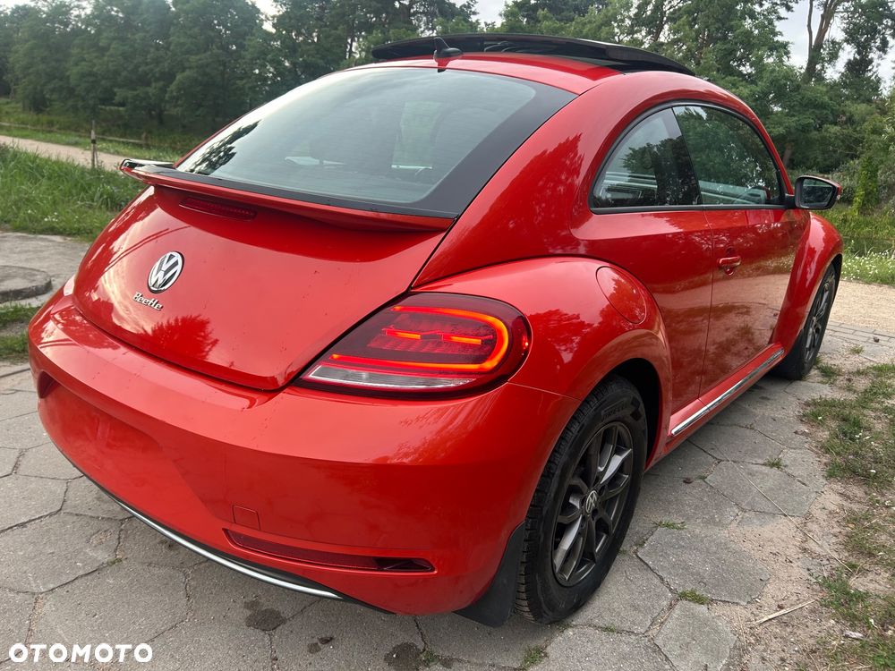 Volkswagen Beetle - 3