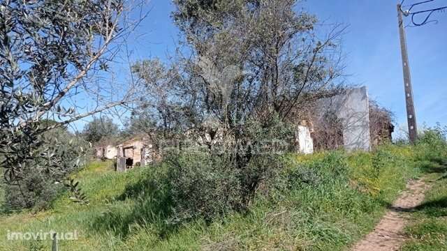 Casa de campo c/ vista barragem, Montargil - Grande imagem: 4/12