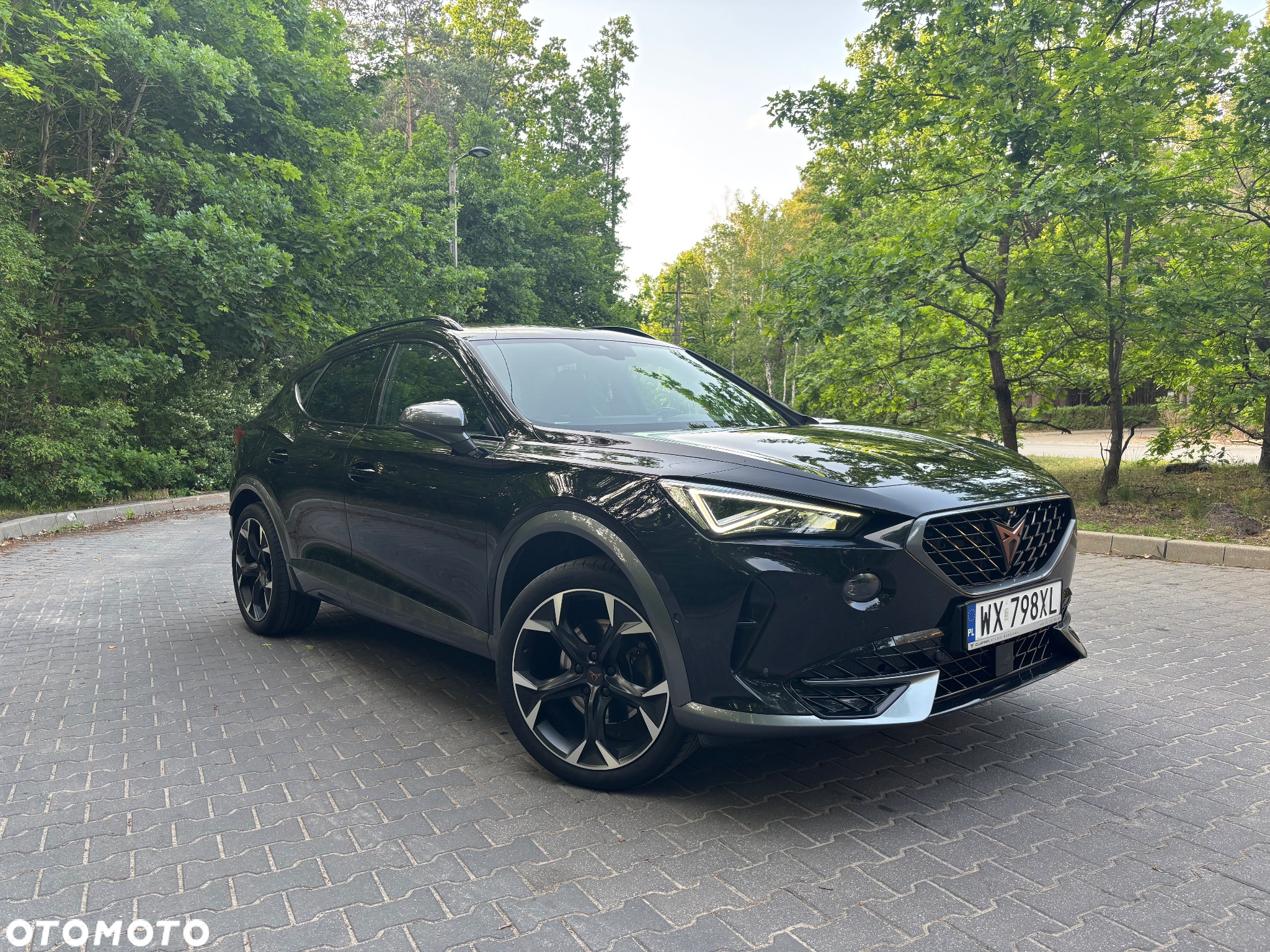Cupra Formentor 1.5 TSI DSG - 2