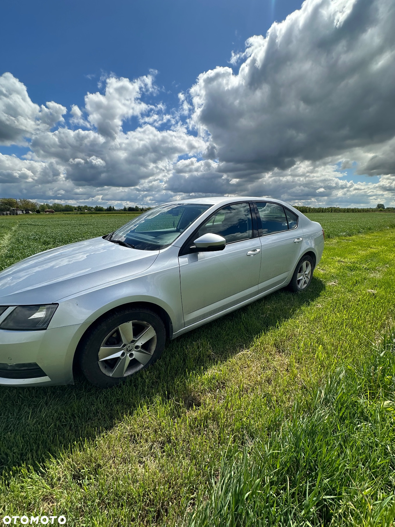 Skoda Octavia 1.4 TSI Ambition - 2