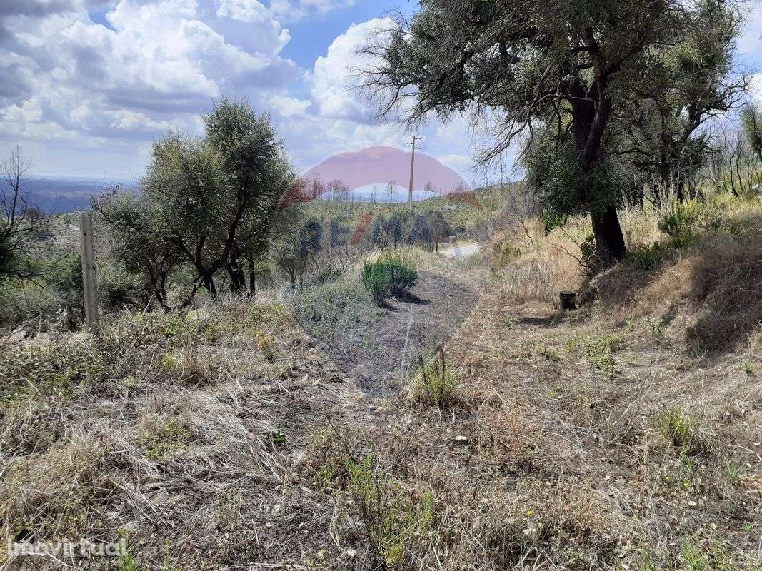 Terreno  para venda - Grande imagem: 5/7