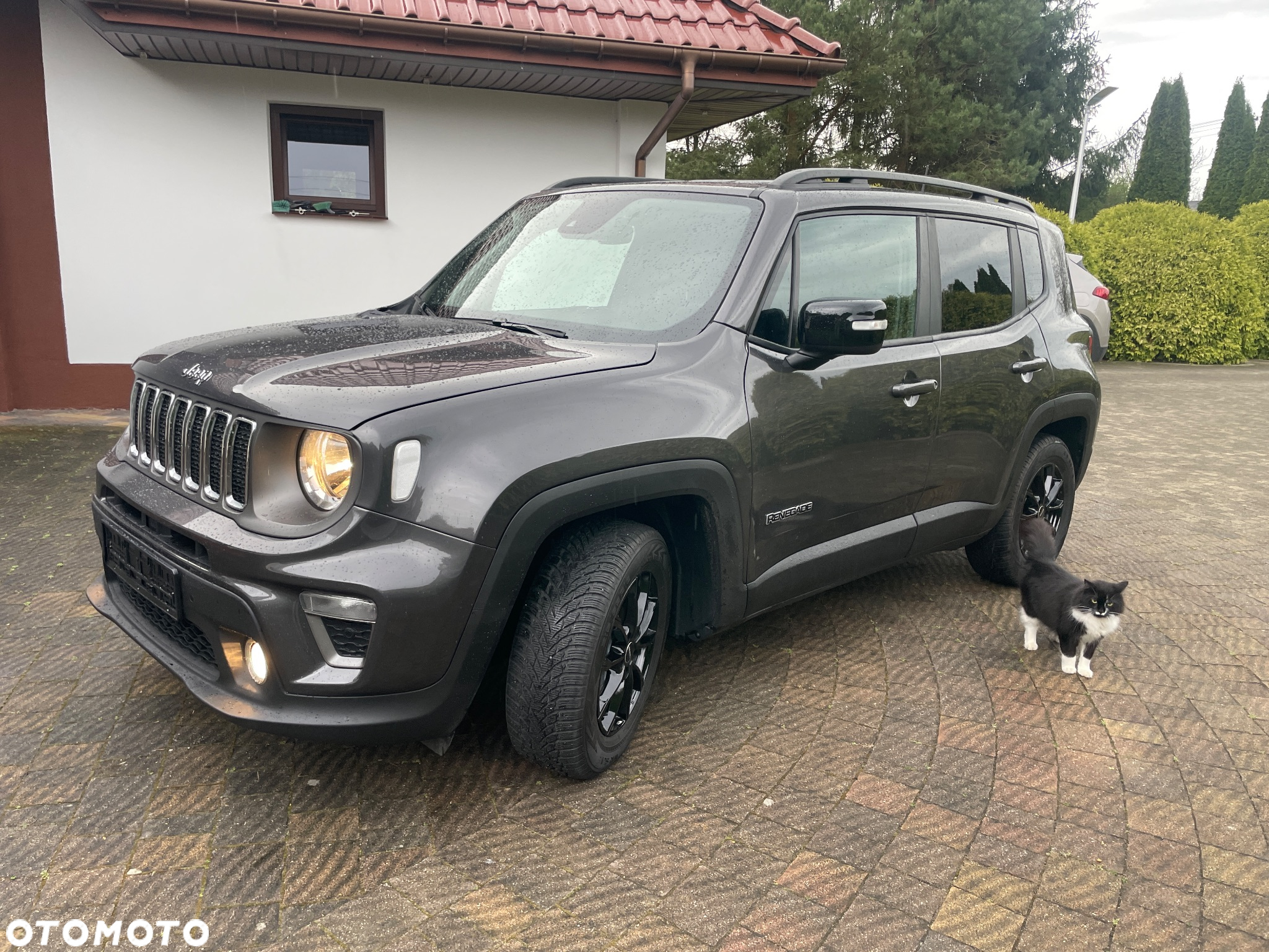 Jeep Renegade 1.3 T-GDI Automatik Limited - 13