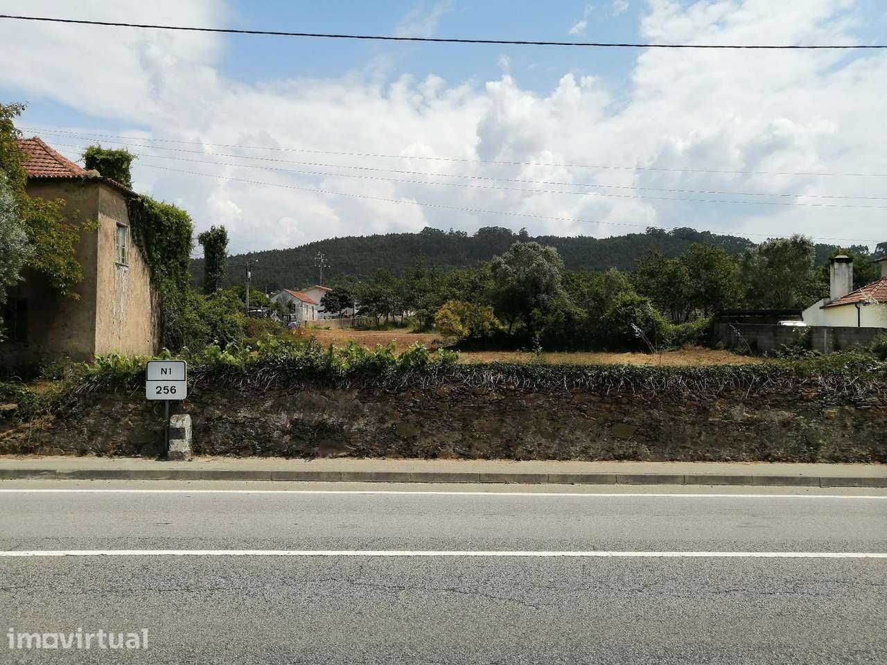 Terreno com Ruína e 14.000 m2 em Branca, Albergaria-a-Velha - Grande imagem: 3/16
