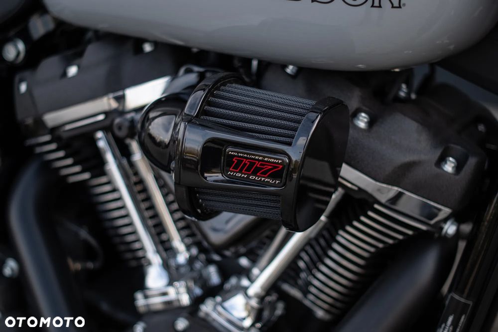 Harley-Davidson Softail Low Rider - 10