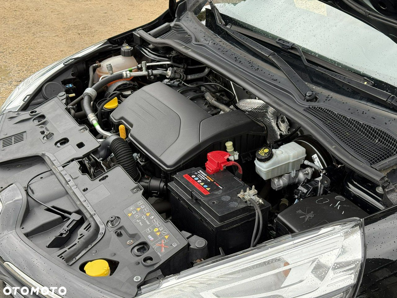 Renault Clio - 28