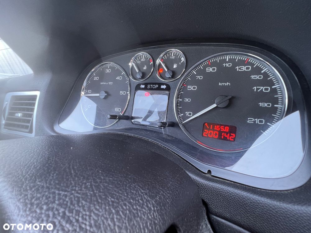 Peugeot 307 - 12